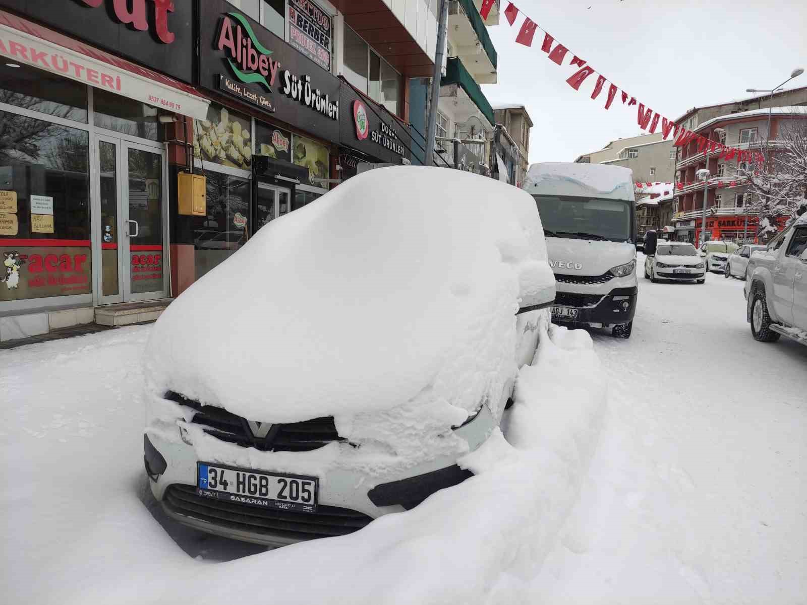 Ardahan’da nisan ayında kar sürprizi
