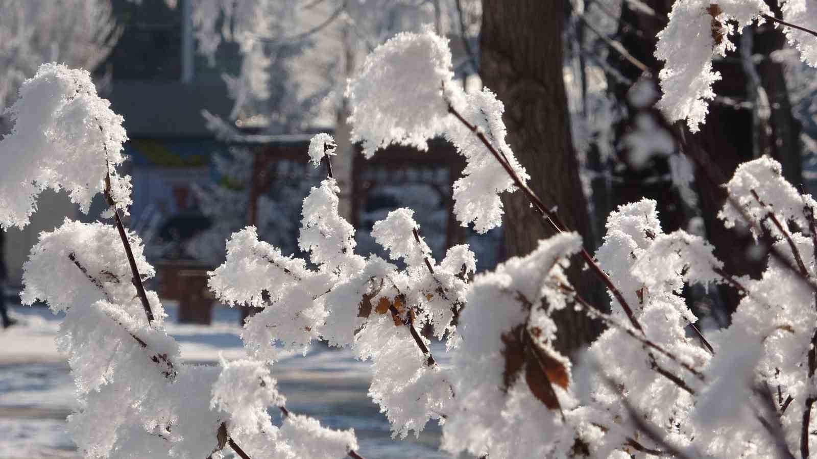 Ardahan’da Sibirya soğukları devam ediyor
