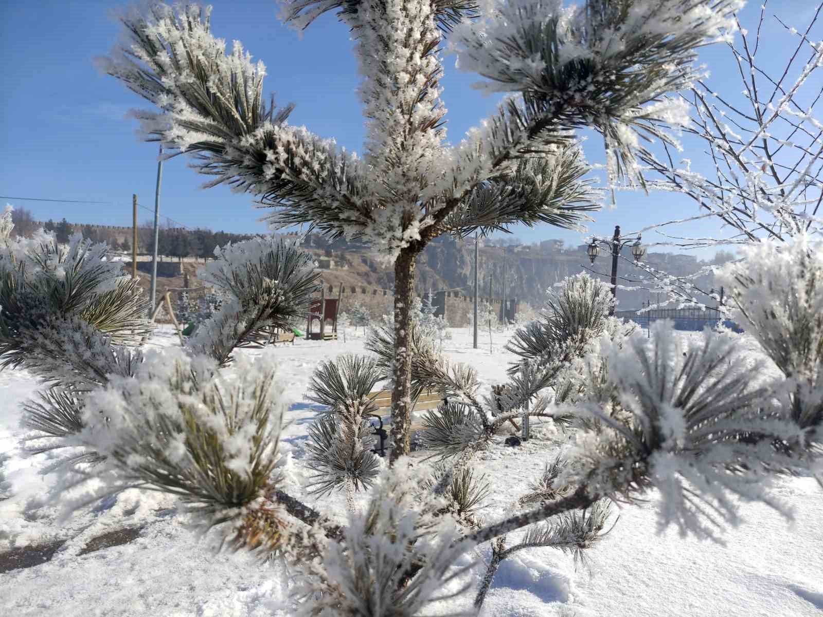 Ardahan’da Sibirya soğukları hayatı olumsuz etkiliyor
