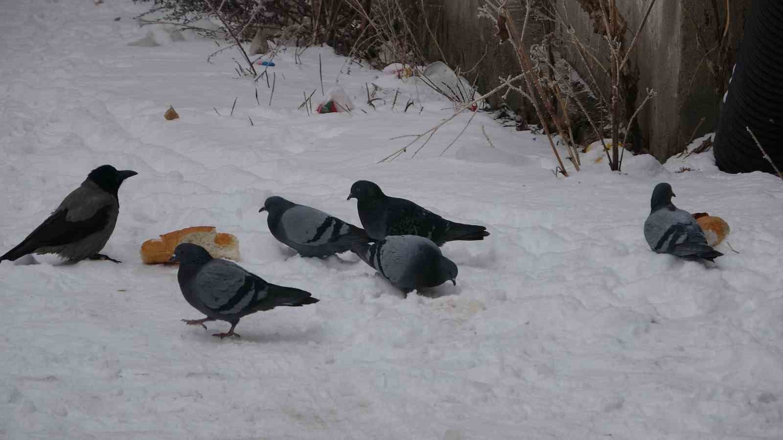 Ardahan’ın Göle ilçesi Türkiye’nin en soğuk yerleşim yeri oldu

