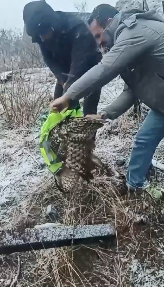 Ardanuç’ta tellere takılan baykuşu İl Özel İdaresi ekipleri kurtardı
