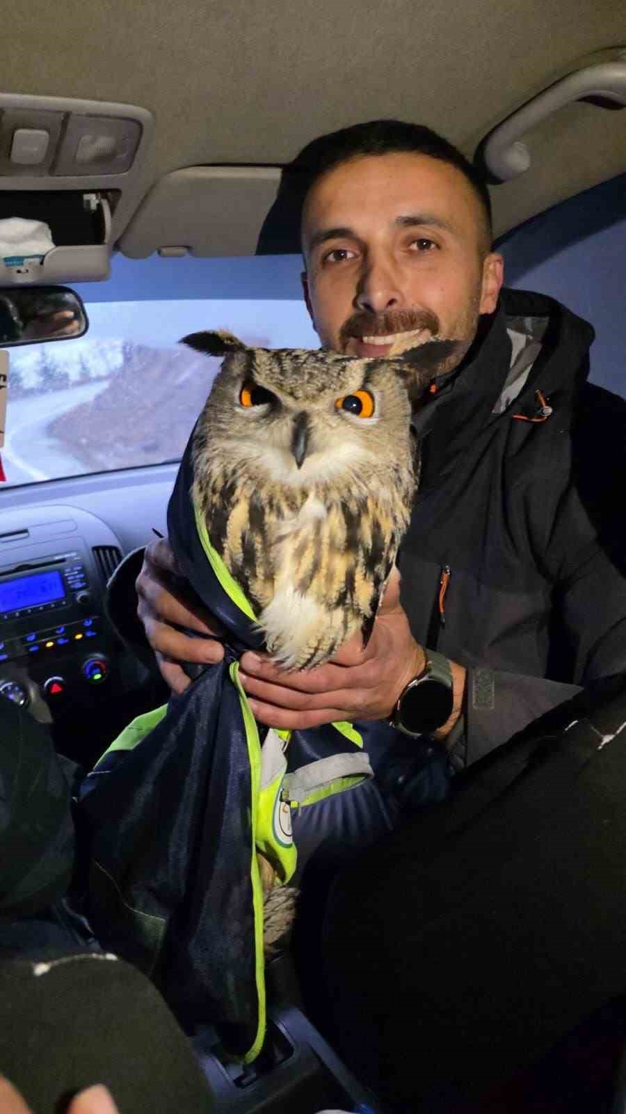 Ardanuç’ta tellere takılan baykuşu İl Özel İdaresi ekipleri kurtardı
