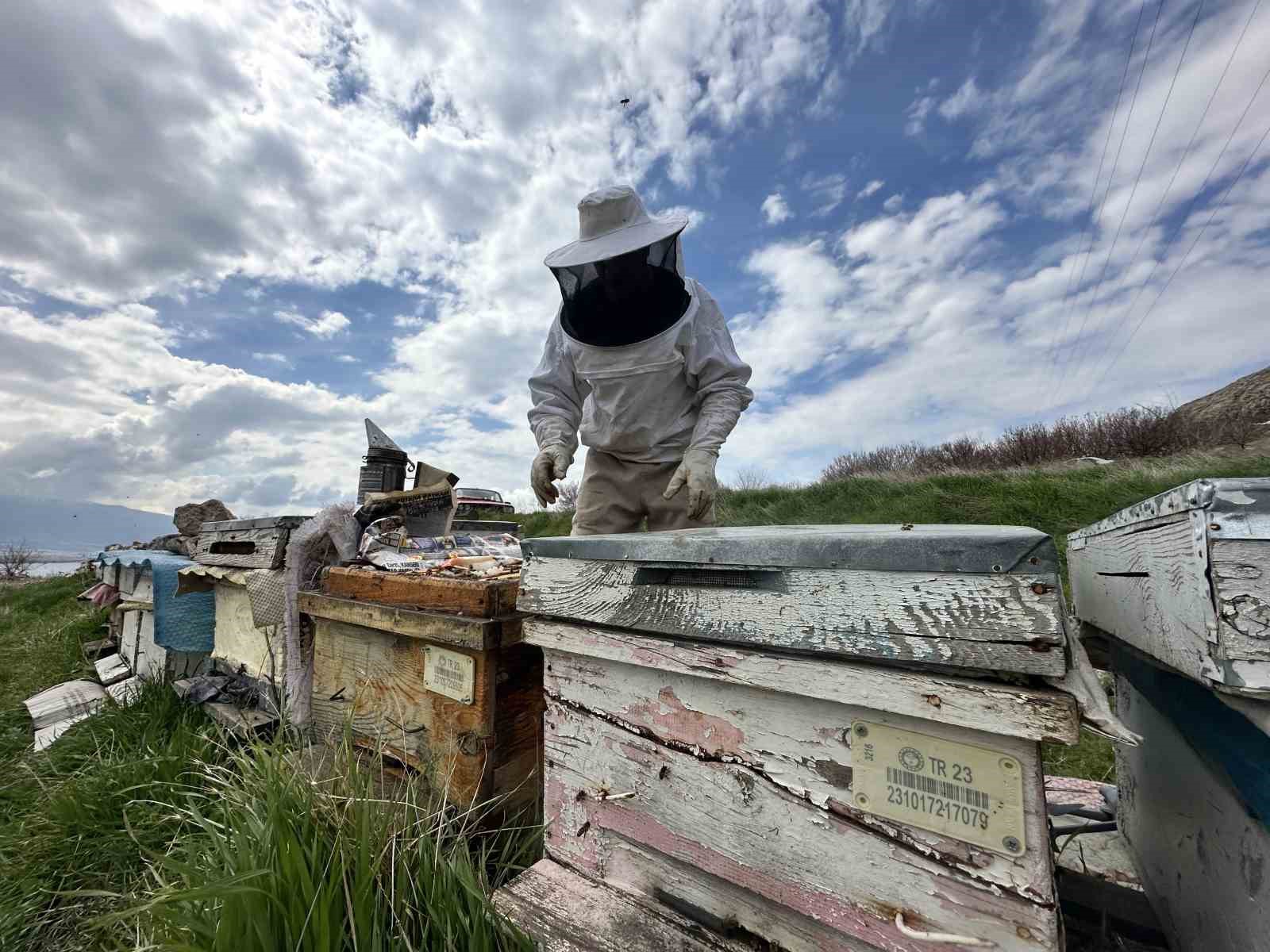 Arıcılar yavru ve besleme dönemine girdi
Arıcılar yavru ve besleme dönemine girdi