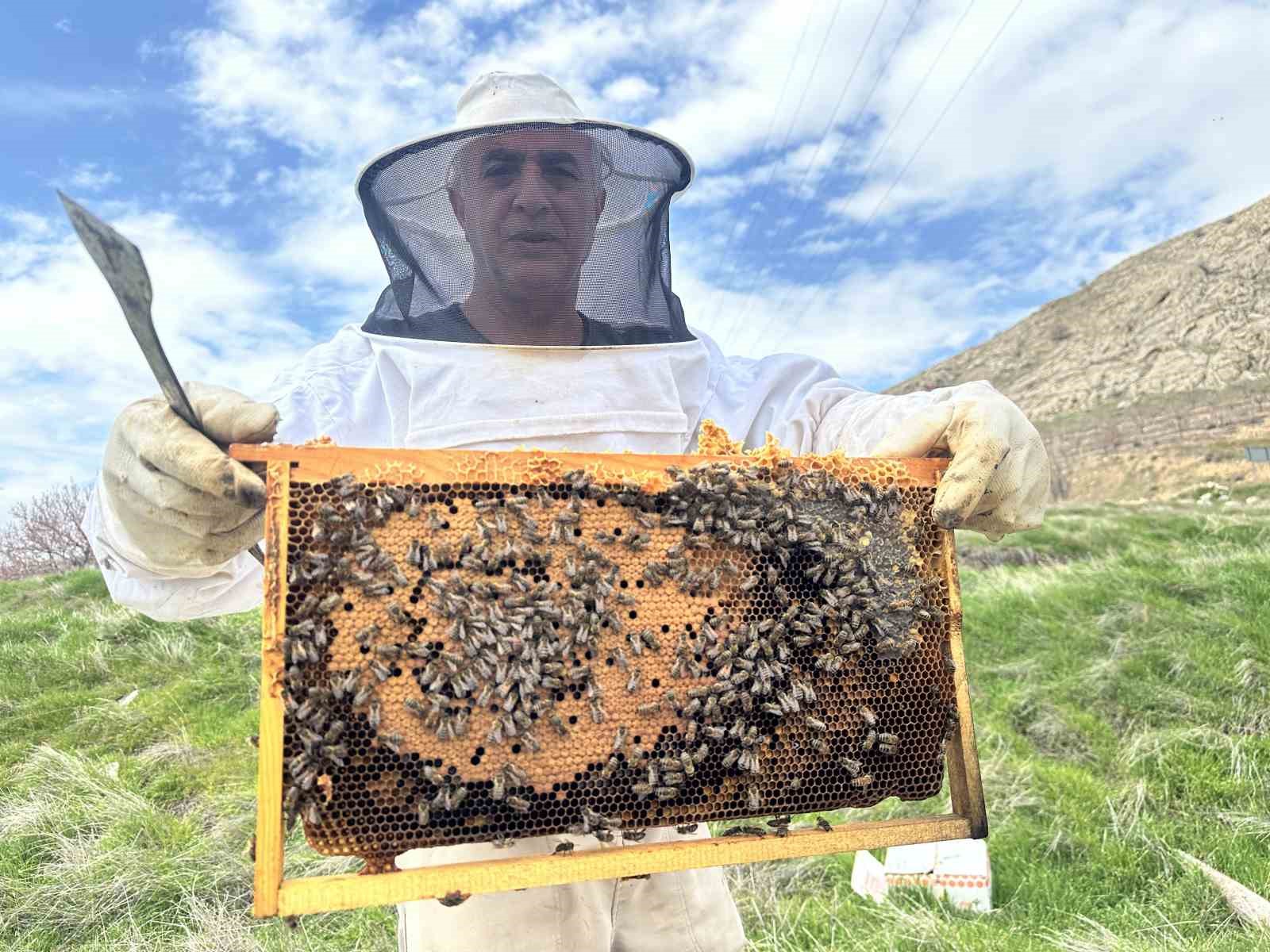 Arıcılar yavru ve besleme dönemine girdi
Arıcılar yavru ve besleme dönemine girdi