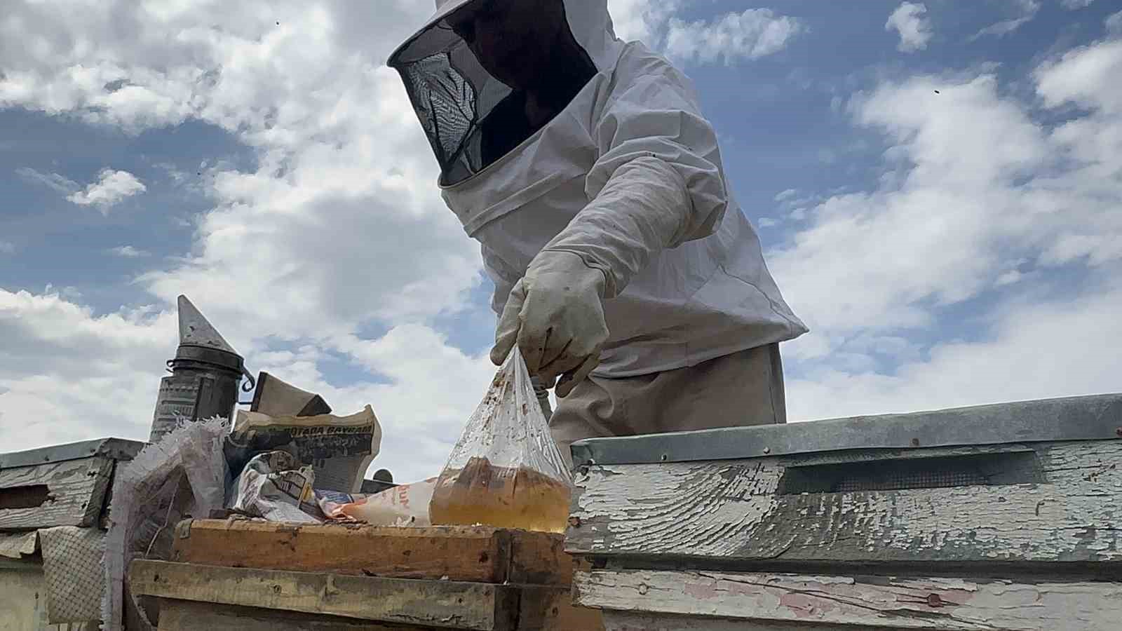 Arıcılar yavru ve besleme dönemine girdi
Arıcılar yavru ve besleme dönemine girdi