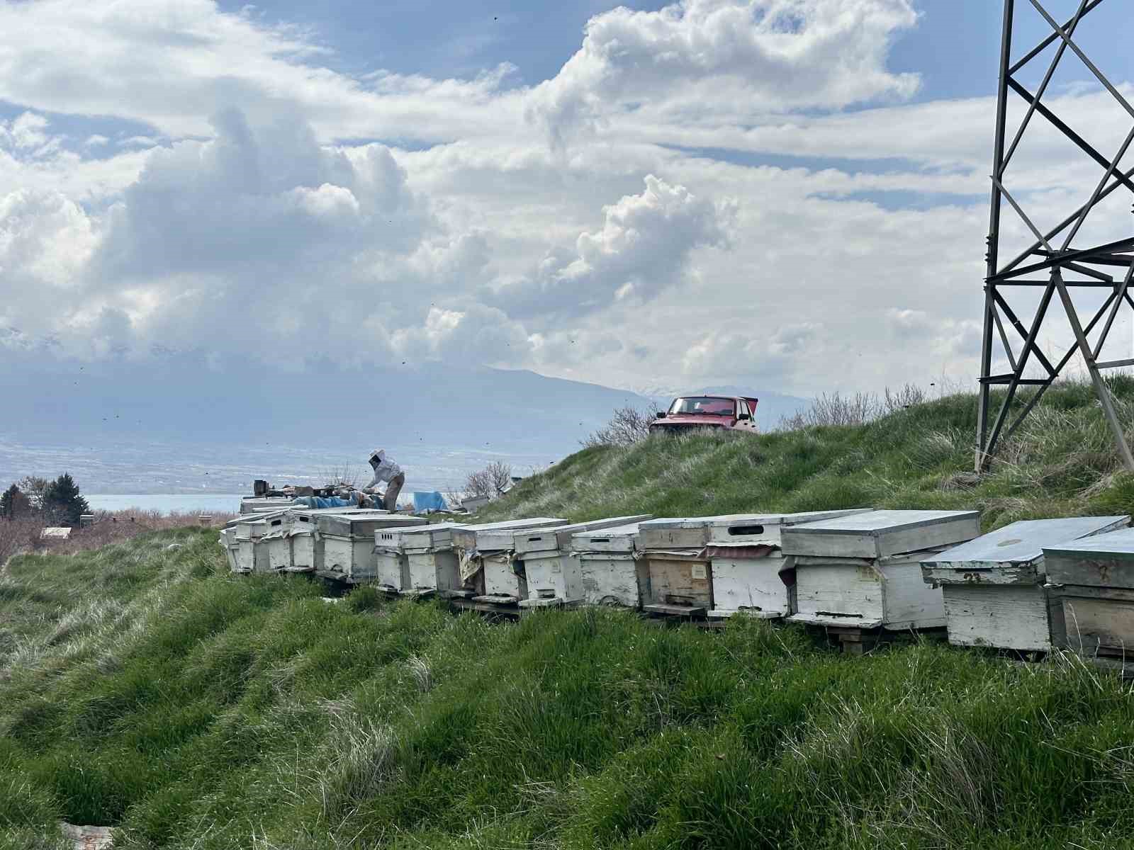 Arıcılar yavru ve besleme dönemine girdi
Arıcılar yavru ve besleme dönemine girdi