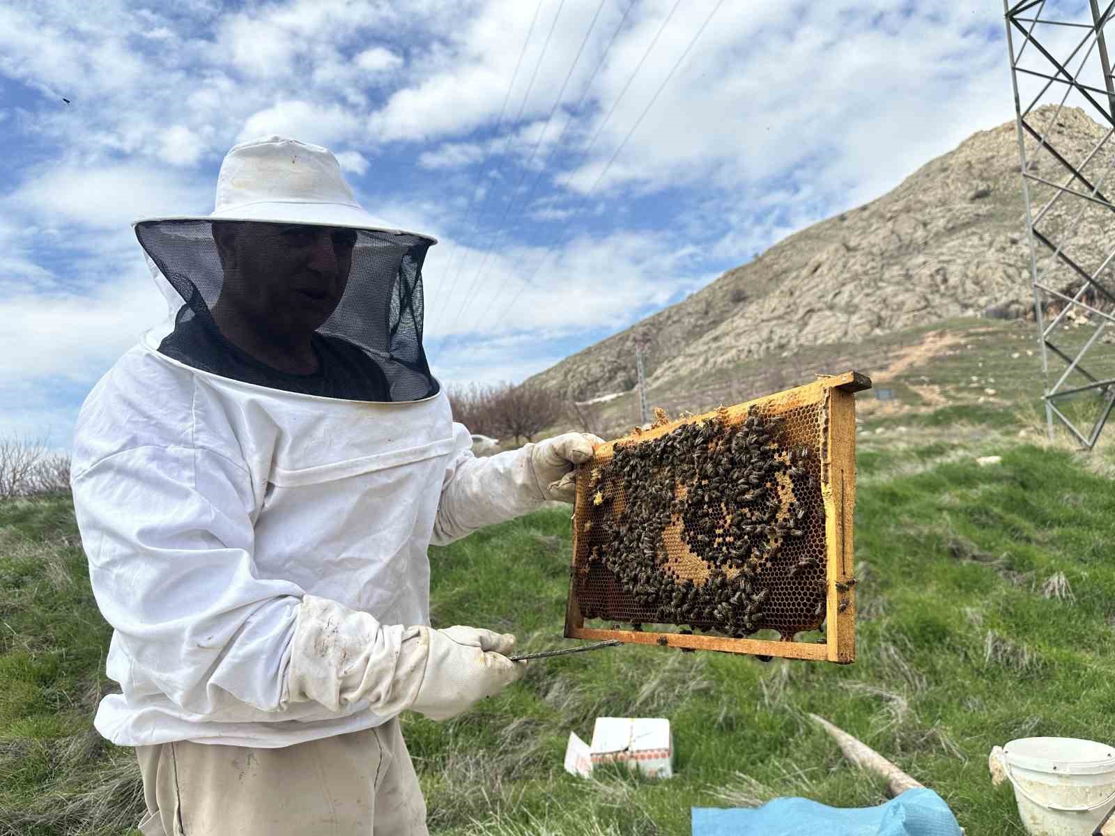 Arıcılar yavru ve besleme dönemine girdi
Arıcılar yavru ve besleme dönemine girdi
