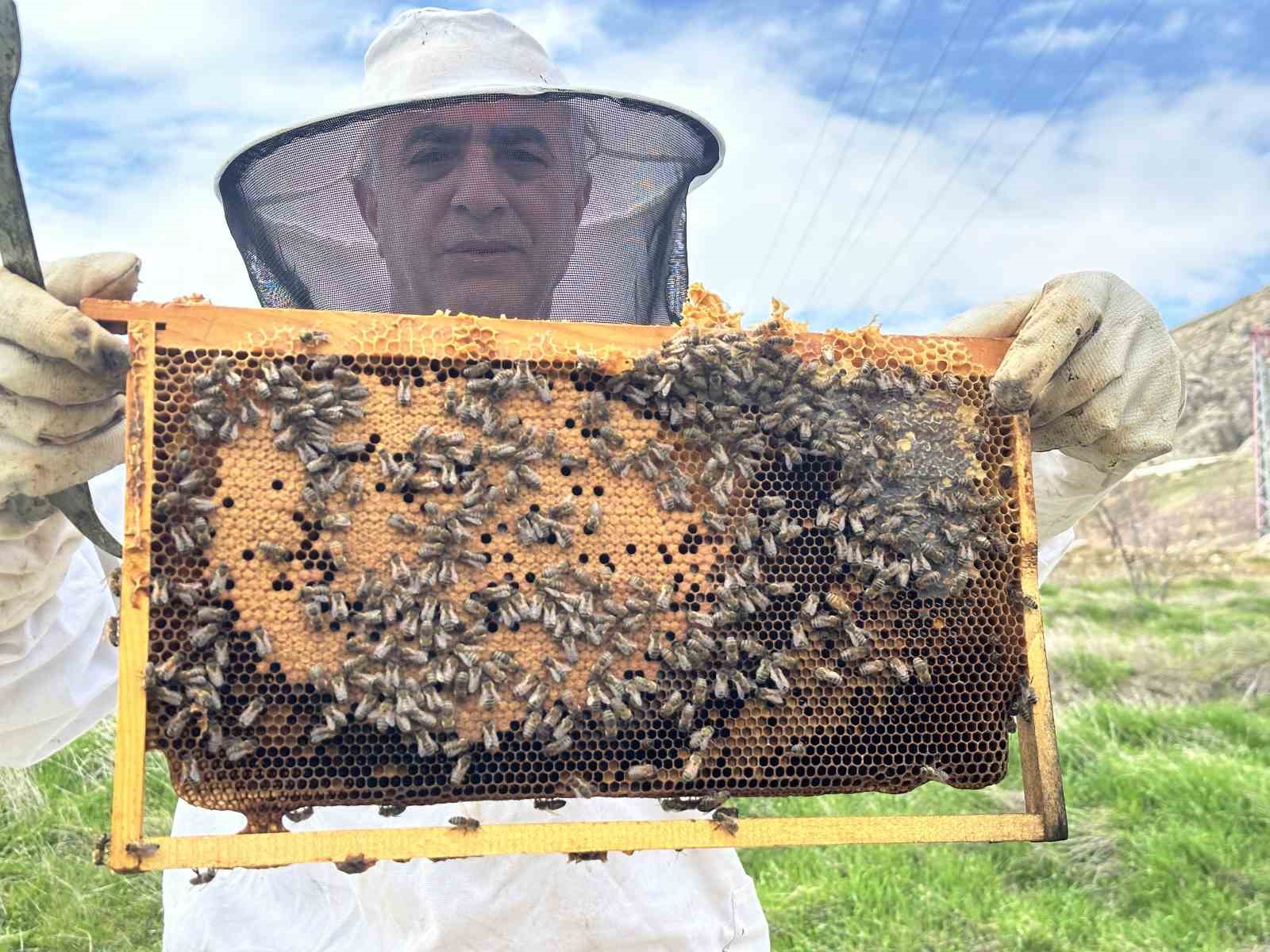 Arıcılar yavru ve besleme dönemine girdi
Arıcılar yavru ve besleme dönemine girdi