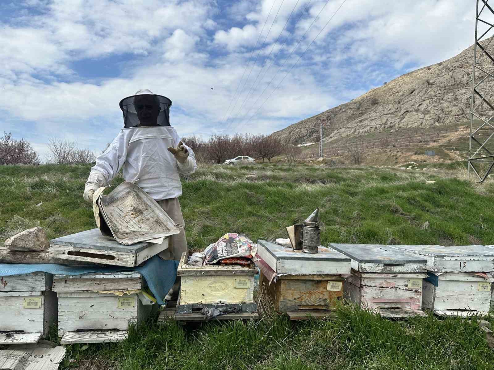 Arıcılar yavru ve besleme dönemine girdi
Arıcılar yavru ve besleme dönemine girdi