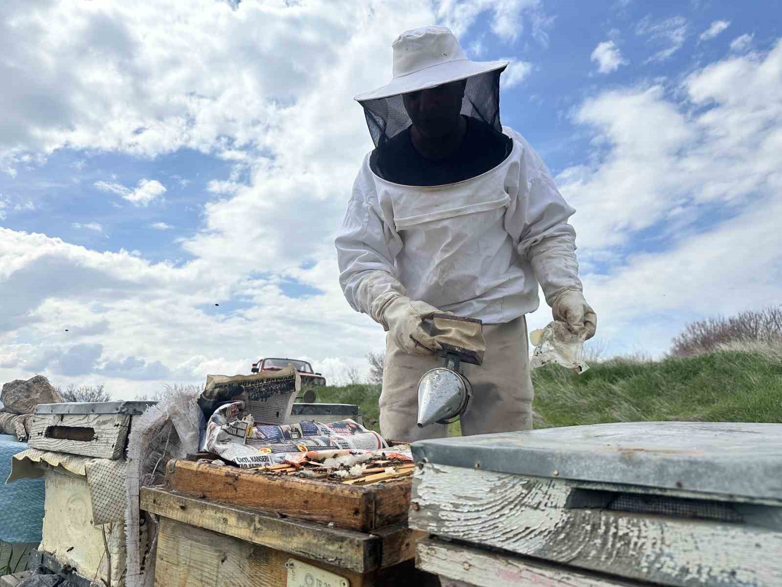 Arıcılar yavru ve besleme dönemine girdi
Arıcılar yavru ve besleme dönemine girdi