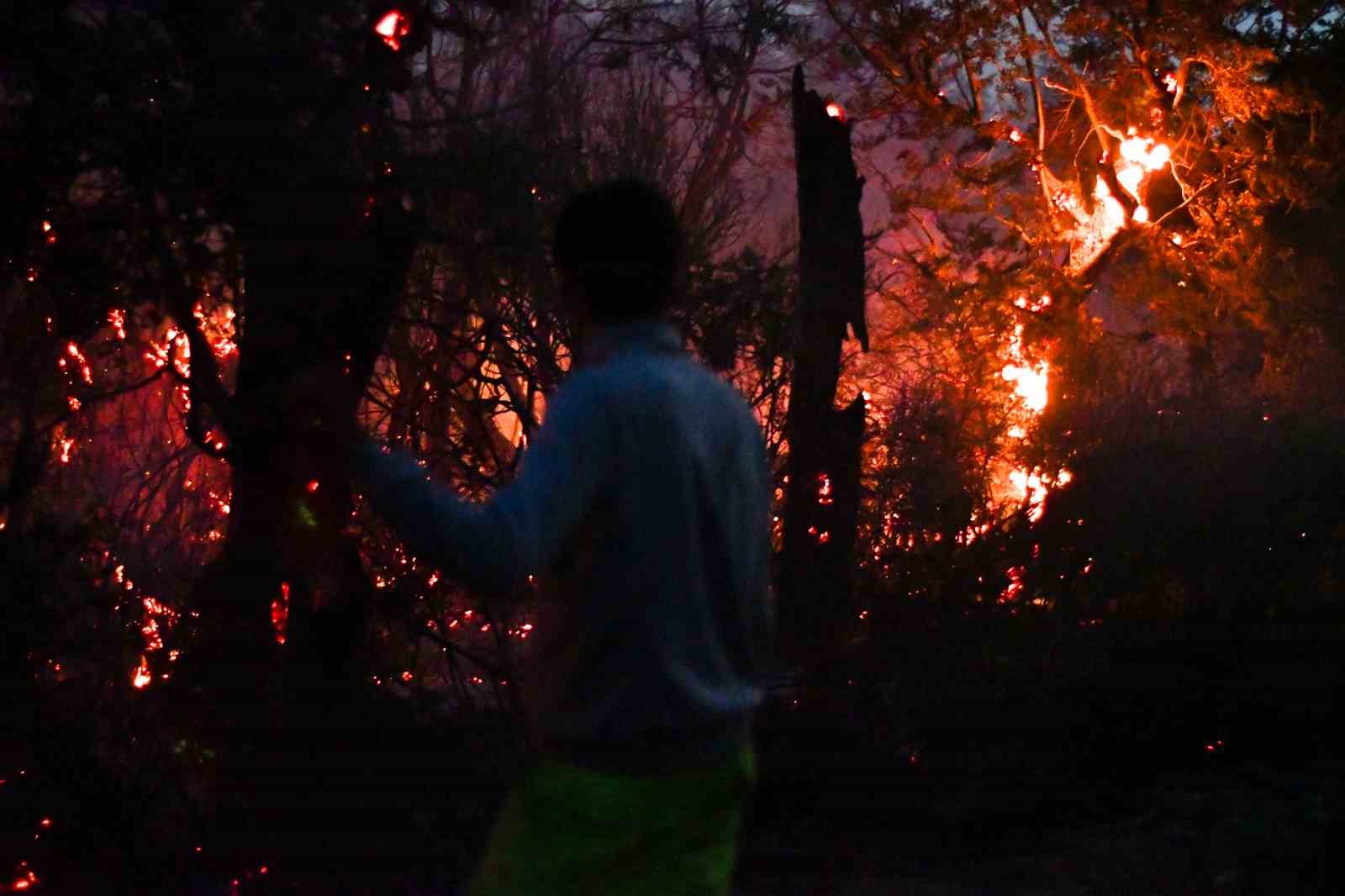 Arjantin’deki orman yangınlarında 50 bin hektarlık alan kül oldu
Arjantin’deki orman yangınlarında 50 bin hektarlık alan kül oldu