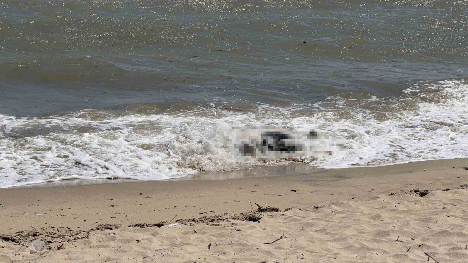 Arnavutköy sahilinde erkek cesedi bulundu
