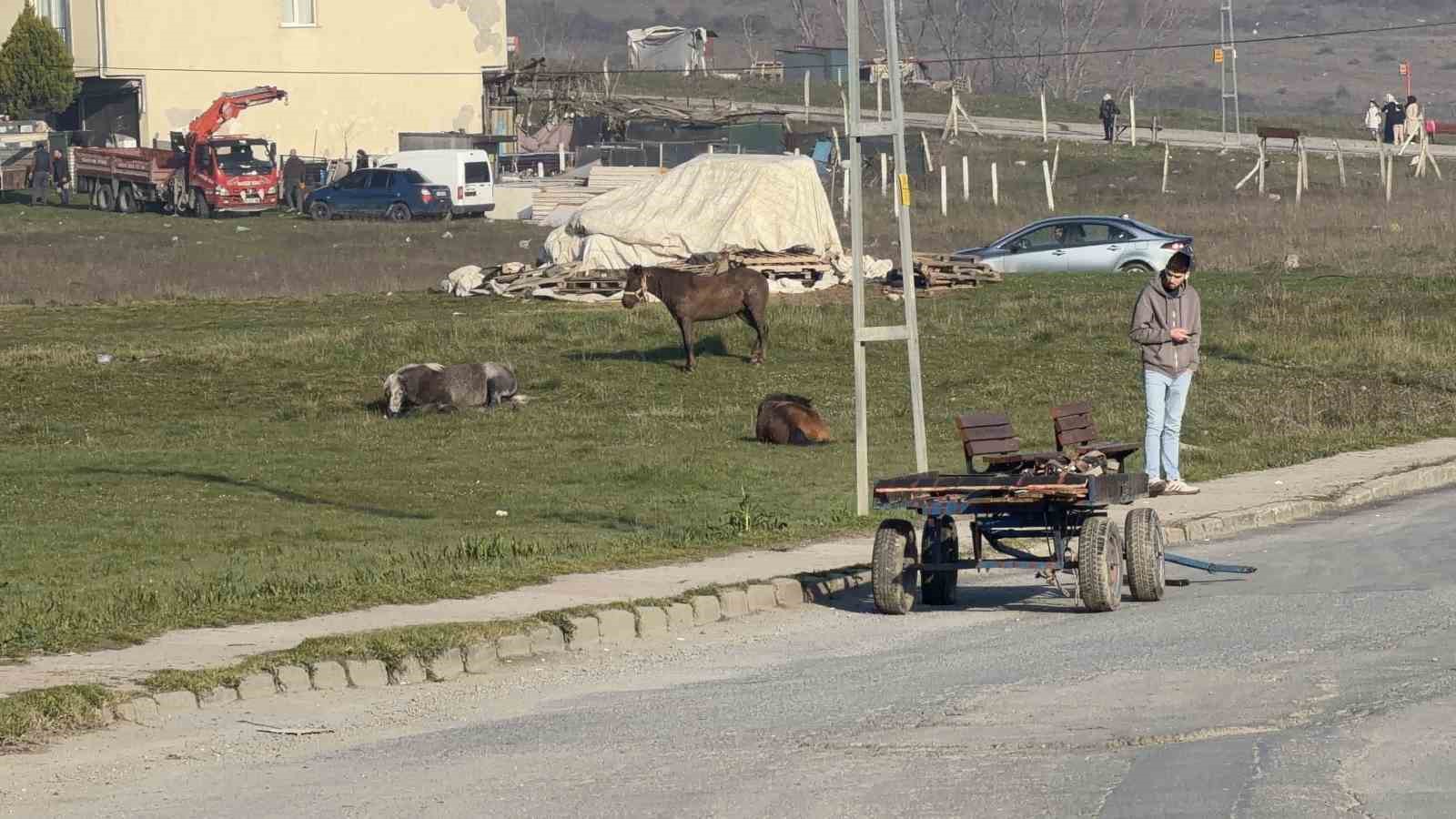Arnavutköy’de başıboş at otomobillere çarptı: 2 araç hasar aldı
