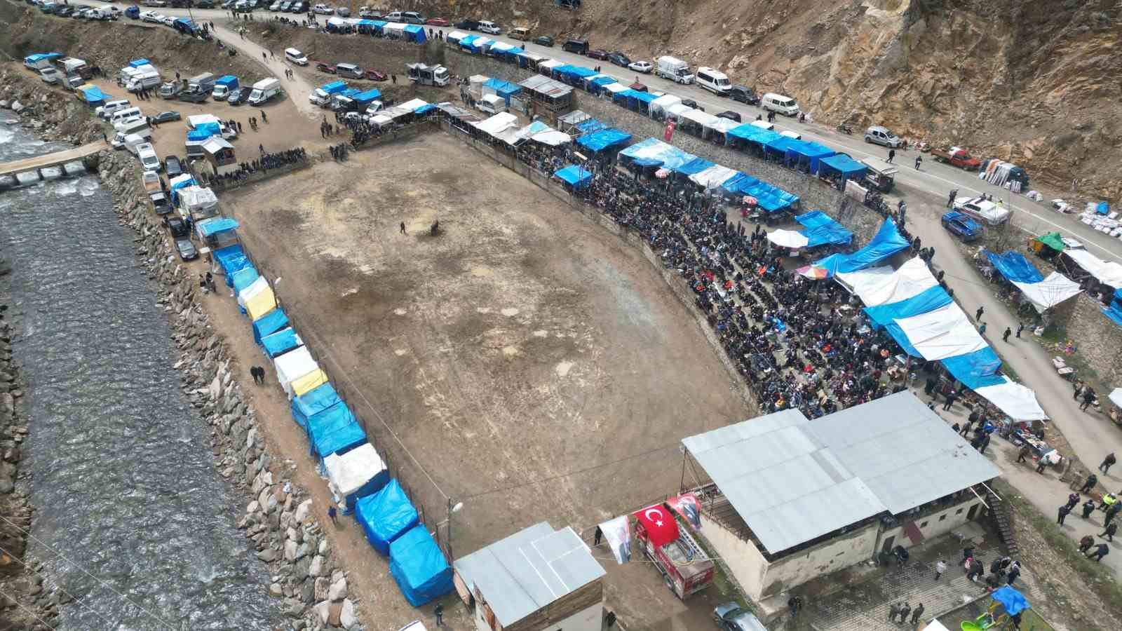 Artvin’de boğa güreşleri sezonu Sarıgöl’de açıldı
Artvin’de boğa güreşleri sezonu Sarıgöl’de açıldı