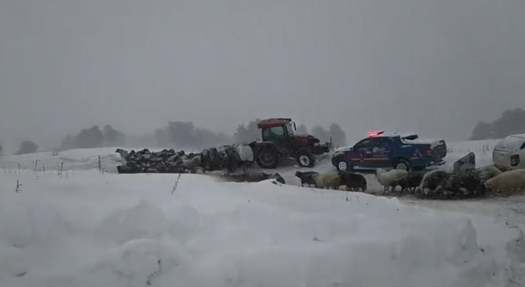 Artvin’de çığ altında kalan 3 çobandan birinin cansız bedenine ulaşıldı
