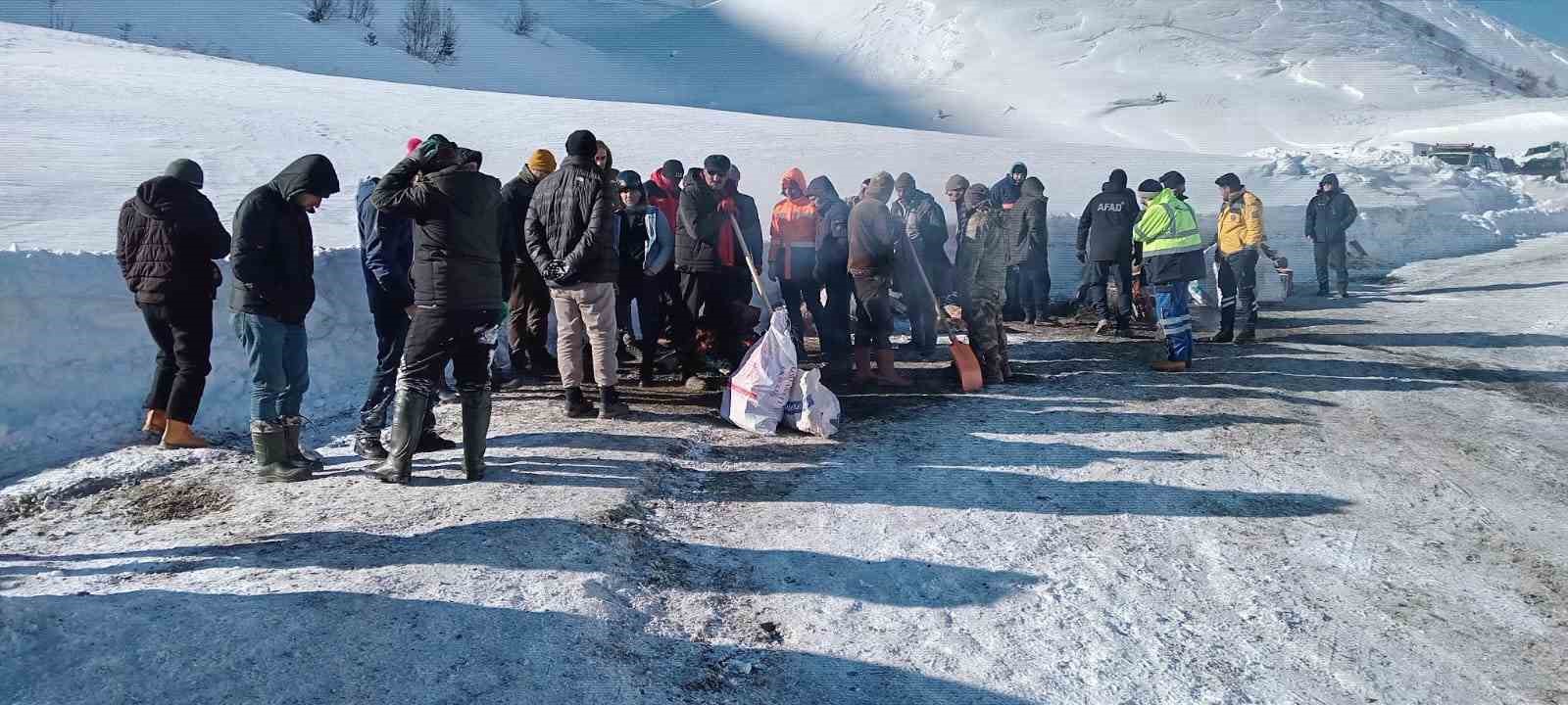 Artvin’de çığ faciasındaki kayıp çoban için arama çalışmaları üçüncü gününde yeniden başladı
