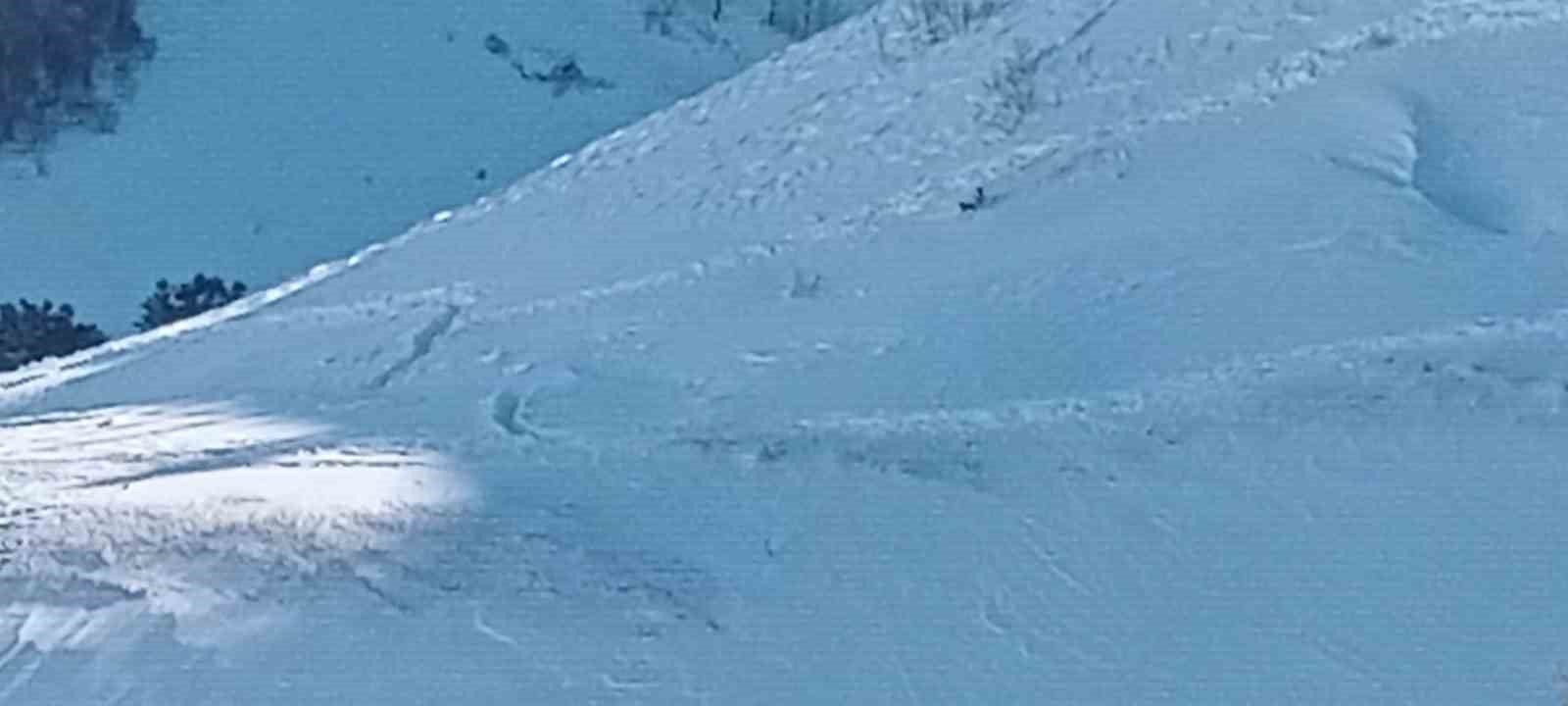 Artvin’de çığ faciasındaki kayıp çoban için arama çalışmaları üçüncü gününde yeniden başladı
