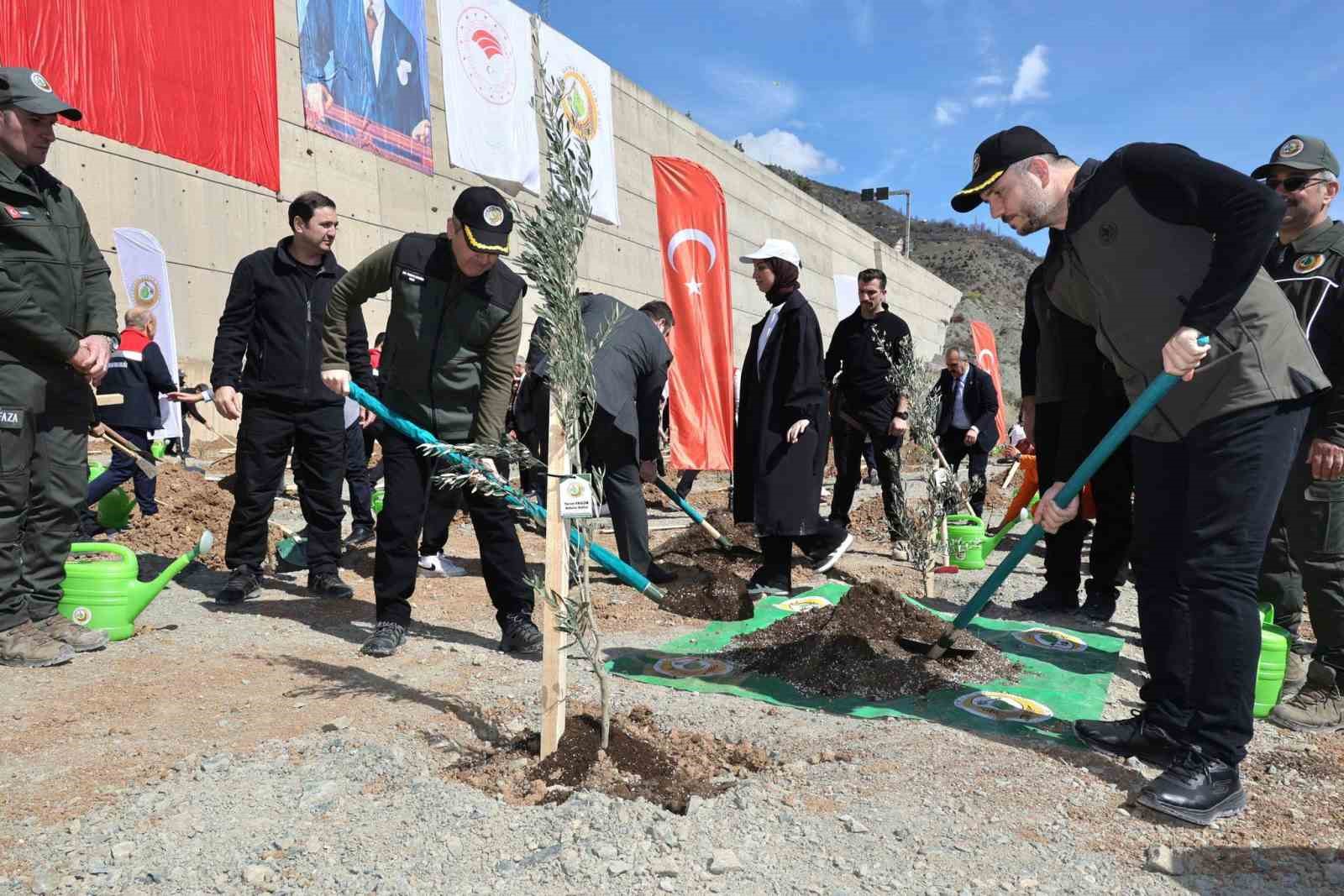 Artvin’de hedef 2026 yılında 750 bin fidan
