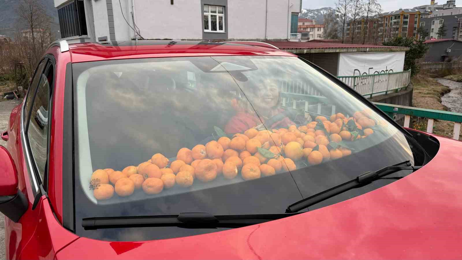 Artvin’de mandalina bereketi torpidoya taştı
Artvin’de mandalina bereketi torpidoya taştı