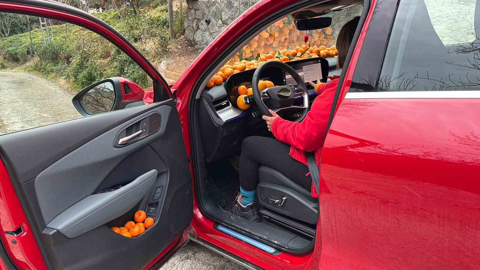 Artvin’de mandalina bereketi torpidoya taştı
Artvin’de mandalina bereketi torpidoya taştı