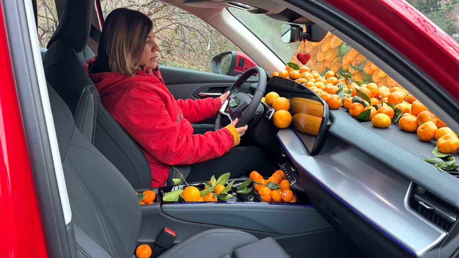 Artvin’de mandalina bereketi torpidoya taştı
Artvin’de mandalina bereketi torpidoya taştı