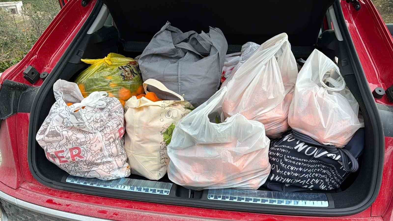 Artvin’de mandalina bereketi torpidoya taştı
Artvin’de mandalina bereketi torpidoya taştı