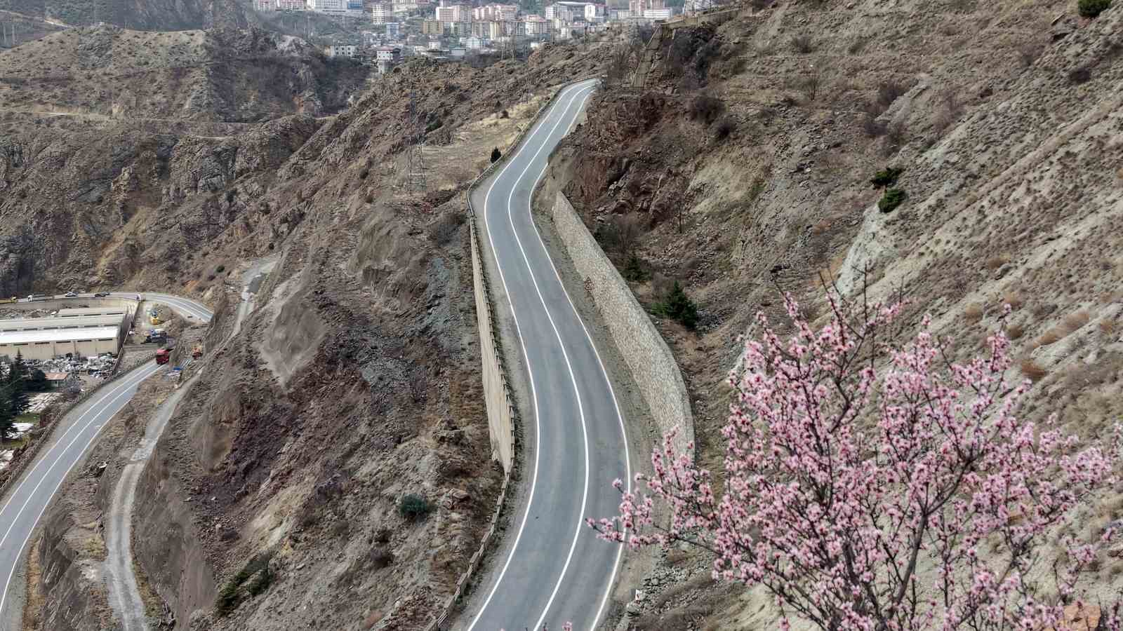Artvin’de meyve ağaçları çiçek açtı

