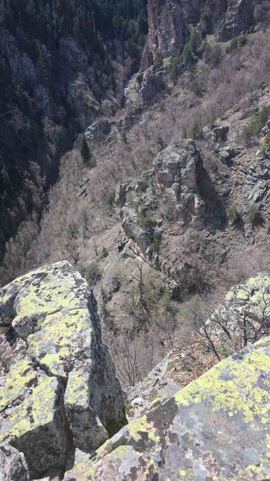 Artvin’de yaylada düşerek yaralanan vatandaş helikopterle kurtarıldı
