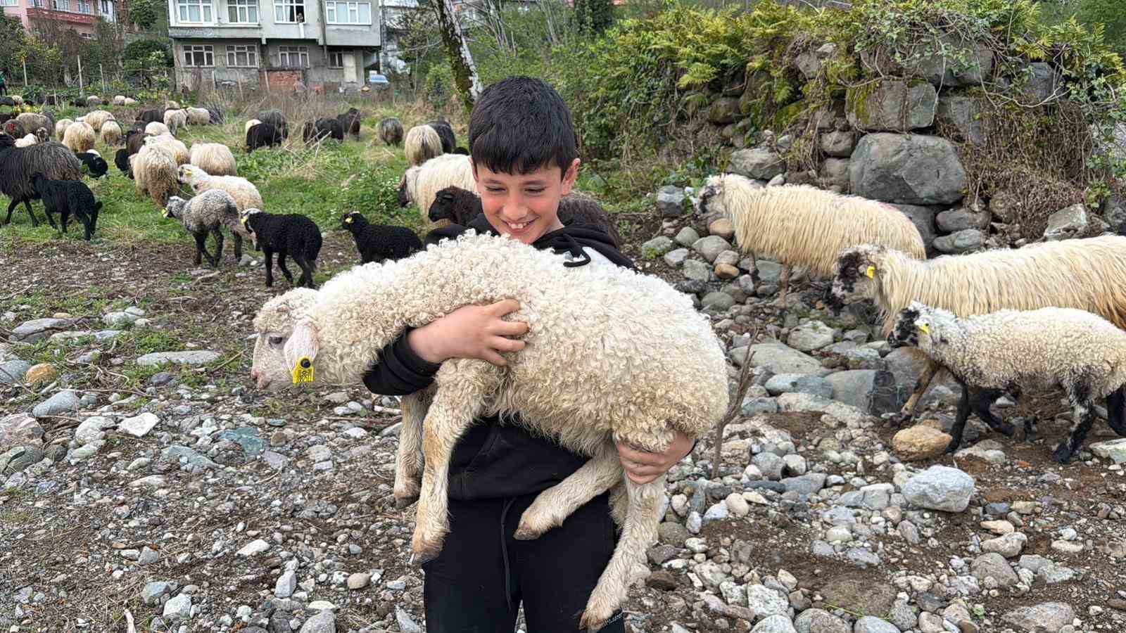 Artvin’de zorlu yayla göçü başladı
