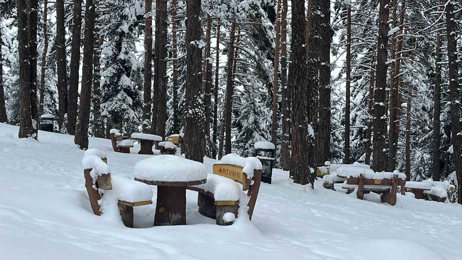 Artvin’in ünlü Kafkasör Yaylası, beyaz örtüyle sessizliğe büründü
