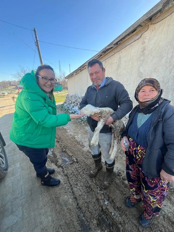 Aşı sırasında yeni doğan kuzu sevindirdi
