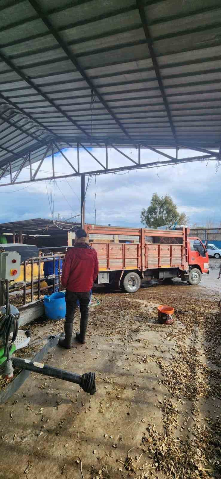 Aşırı yağışlar sonrası Söke’de hayvanlar güvenli bölgelere alındı
