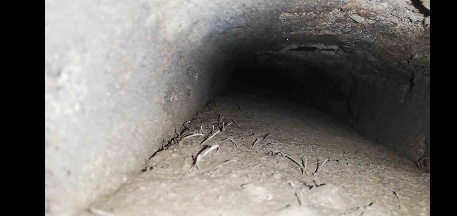 Asırlar sonra ortaya çıktı... Muradiye’de gizli kalan detay
Asırlar sonra ortaya çıktı... Muradiye’de gizli kalan detay