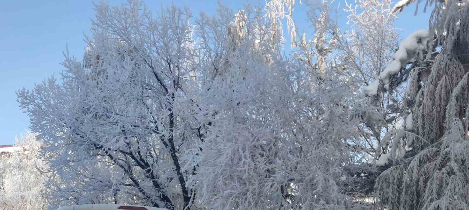 Aşkale’de dondurucu soğuklar hayatı felç etti
