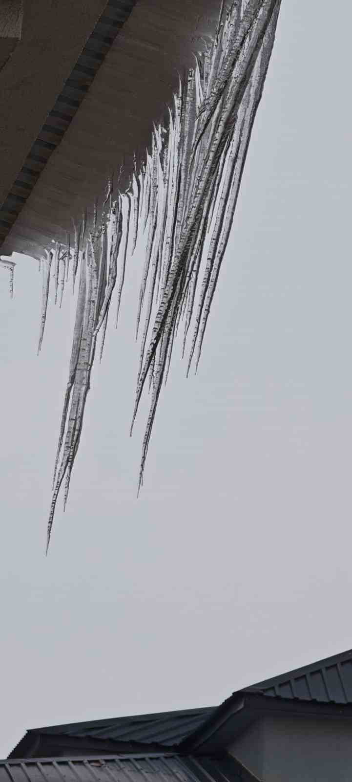 Aşkale’de dondurucu soğuklar hayatı felç etti
