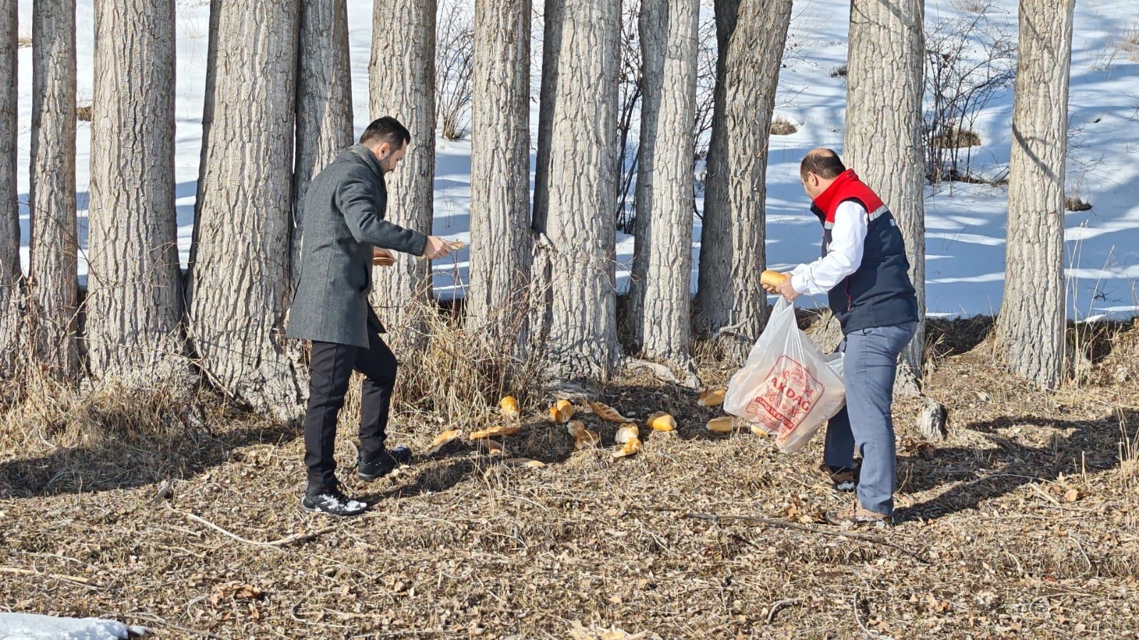 Aşkale’de yaban hayatı için doğaya yem bırakıldı
