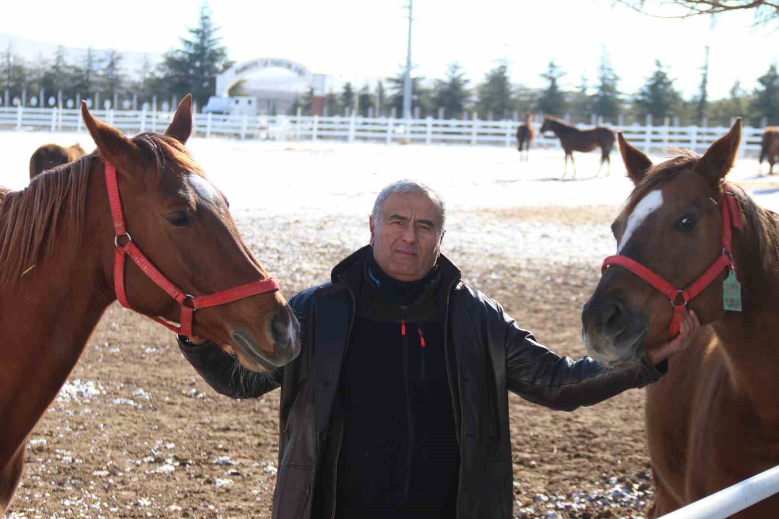 At yetiştiriciliğinin kış zorlukları
At yetiştiriciliğinin kış zorlukları