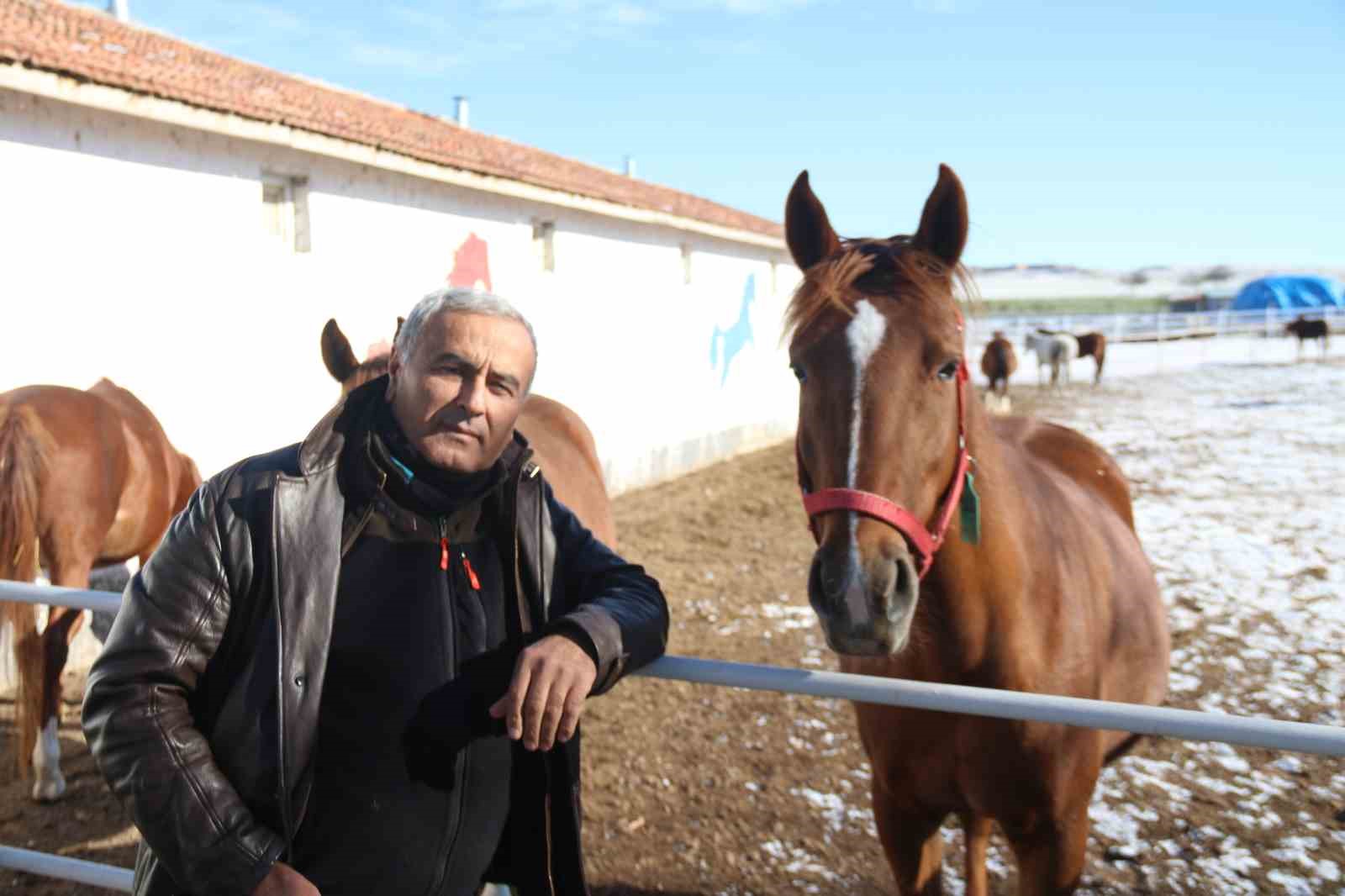 At yetiştiriciliğinin kış zorlukları
At yetiştiriciliğinin kış zorlukları