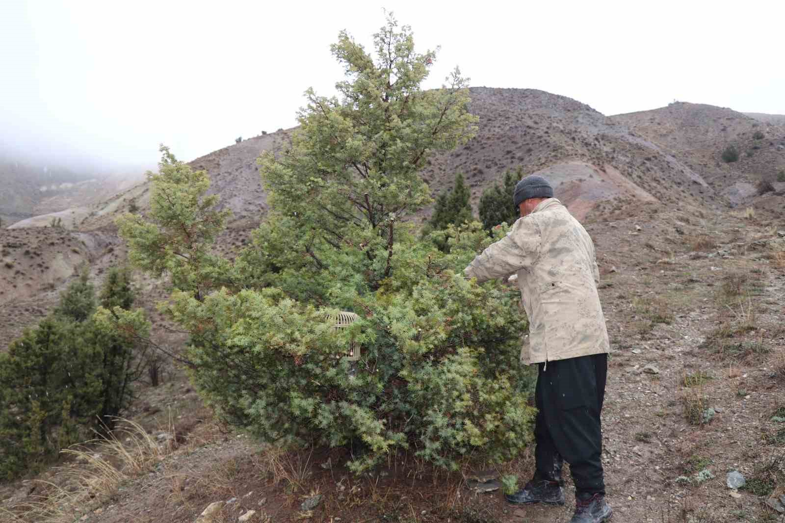 Atadan toruna kalan miras:  "Baskın keklik" yöntemiyle dev envanter
