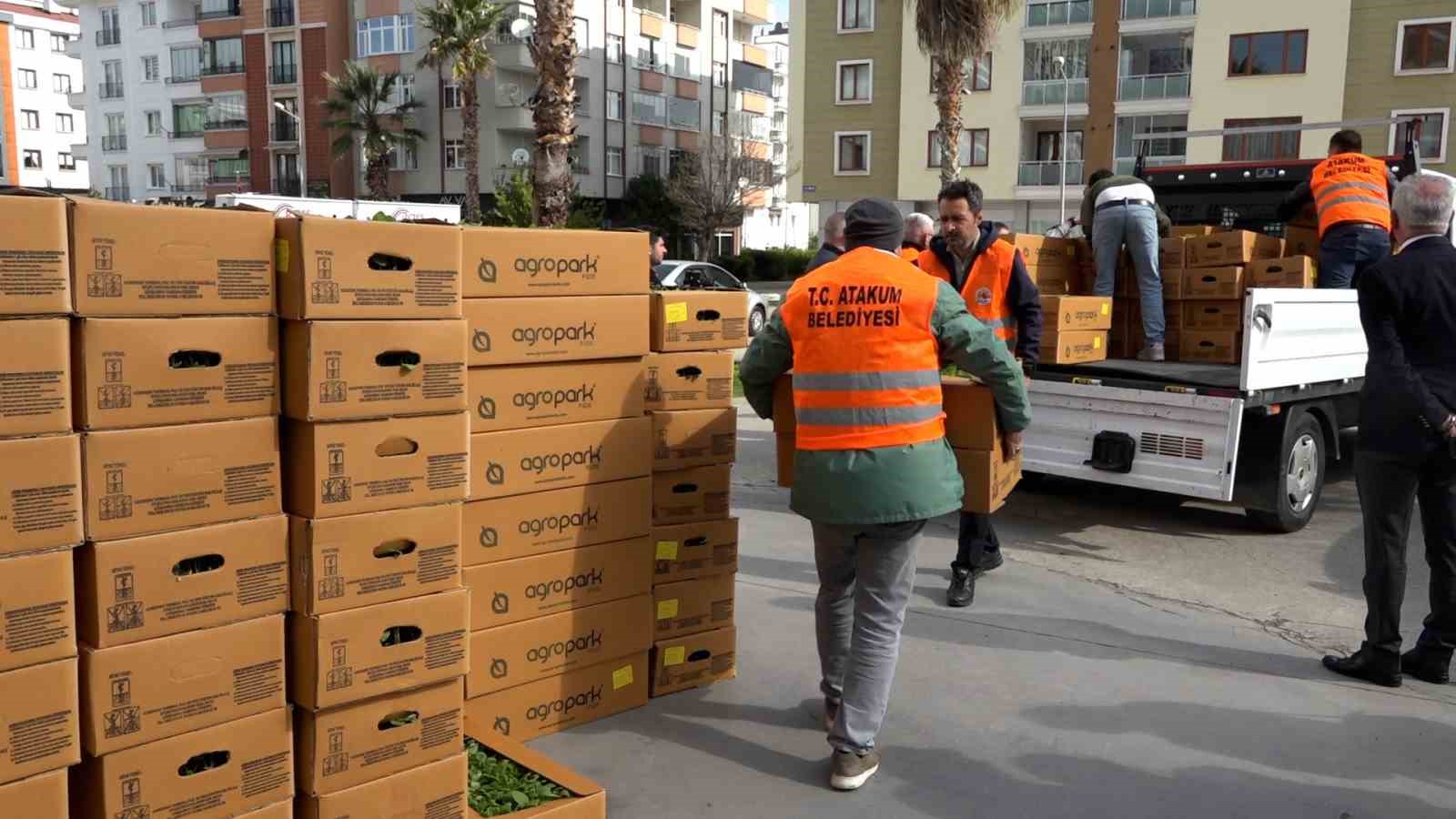 Atakumlu çiftçiye 100 bin sebze fidesi
