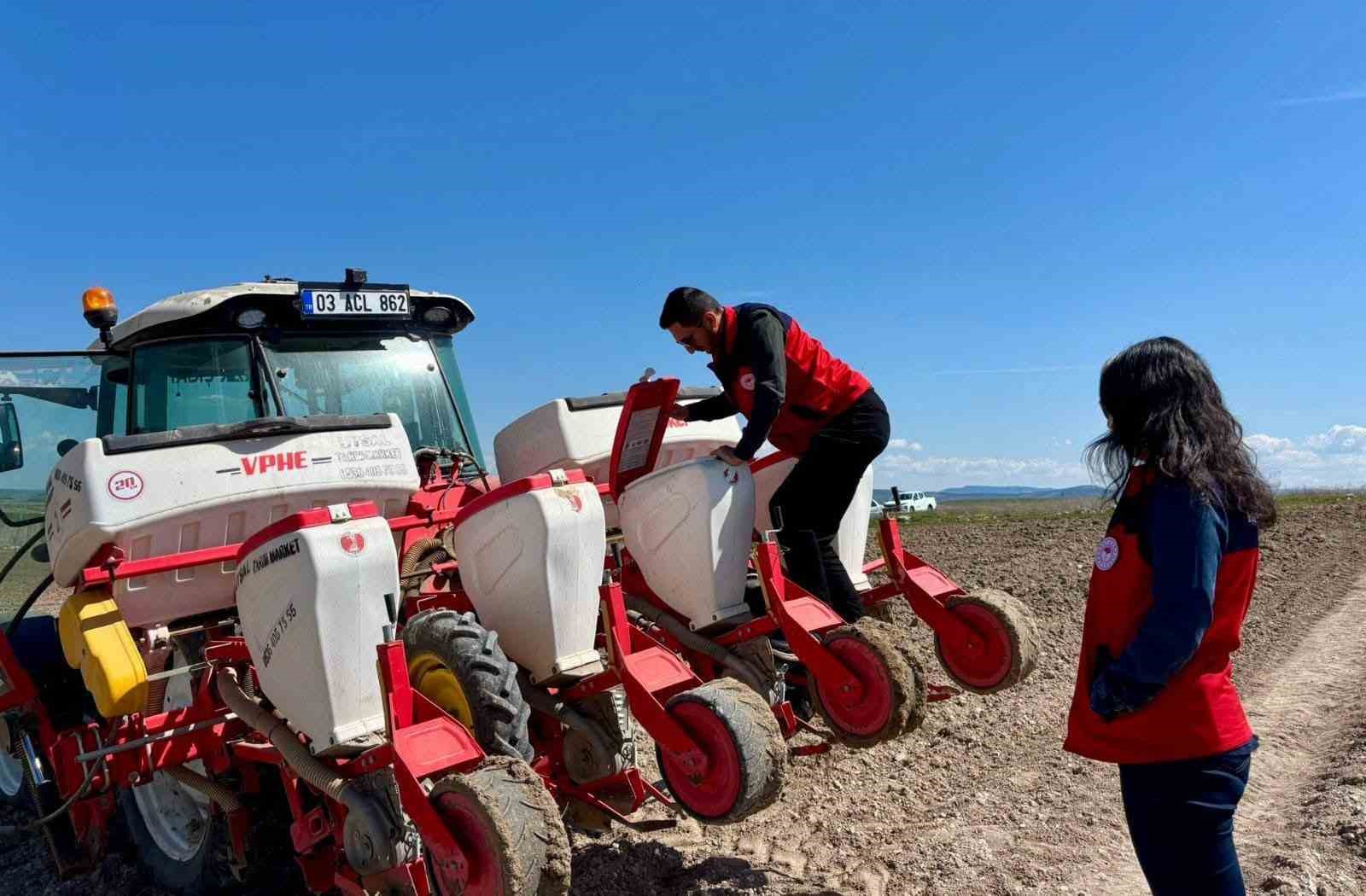 Atıl durumdaki tarım arazilerine ayçiçeği ekimi yapıldı
