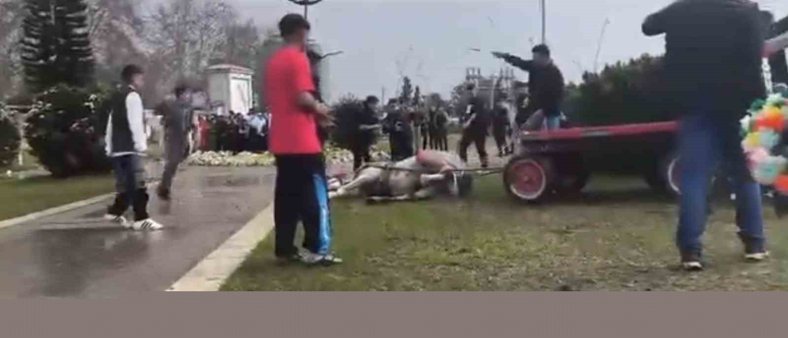 Atını sopa ve tekmeyle bayılttı
