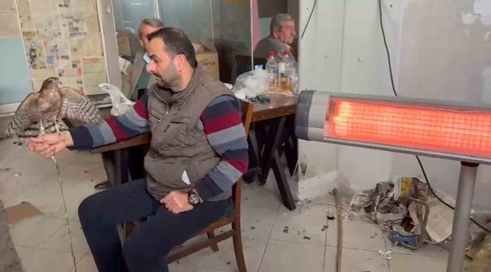 Atmacacılığın serüveni
Atmacacılığın serüveni