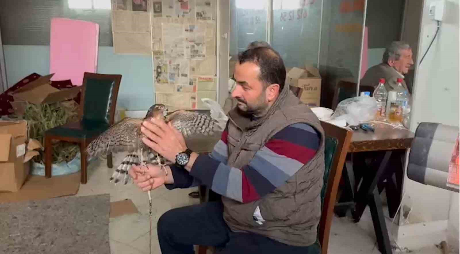 Atmacacılığın serüveni
Atmacacılığın serüveni