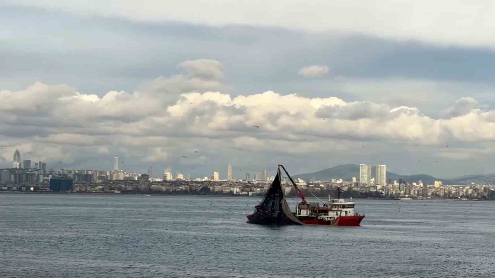 Av mevsiminin son günlerinde istavrit bolluğu
