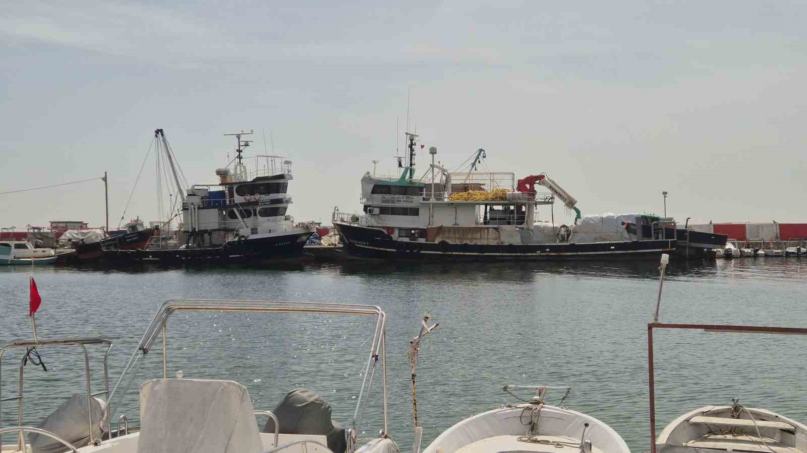 Av yasağı başlıyor
