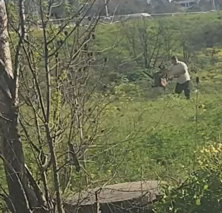 Avcılar’da köpeğe kötü muamelede bulunan şahıs yakalandı
