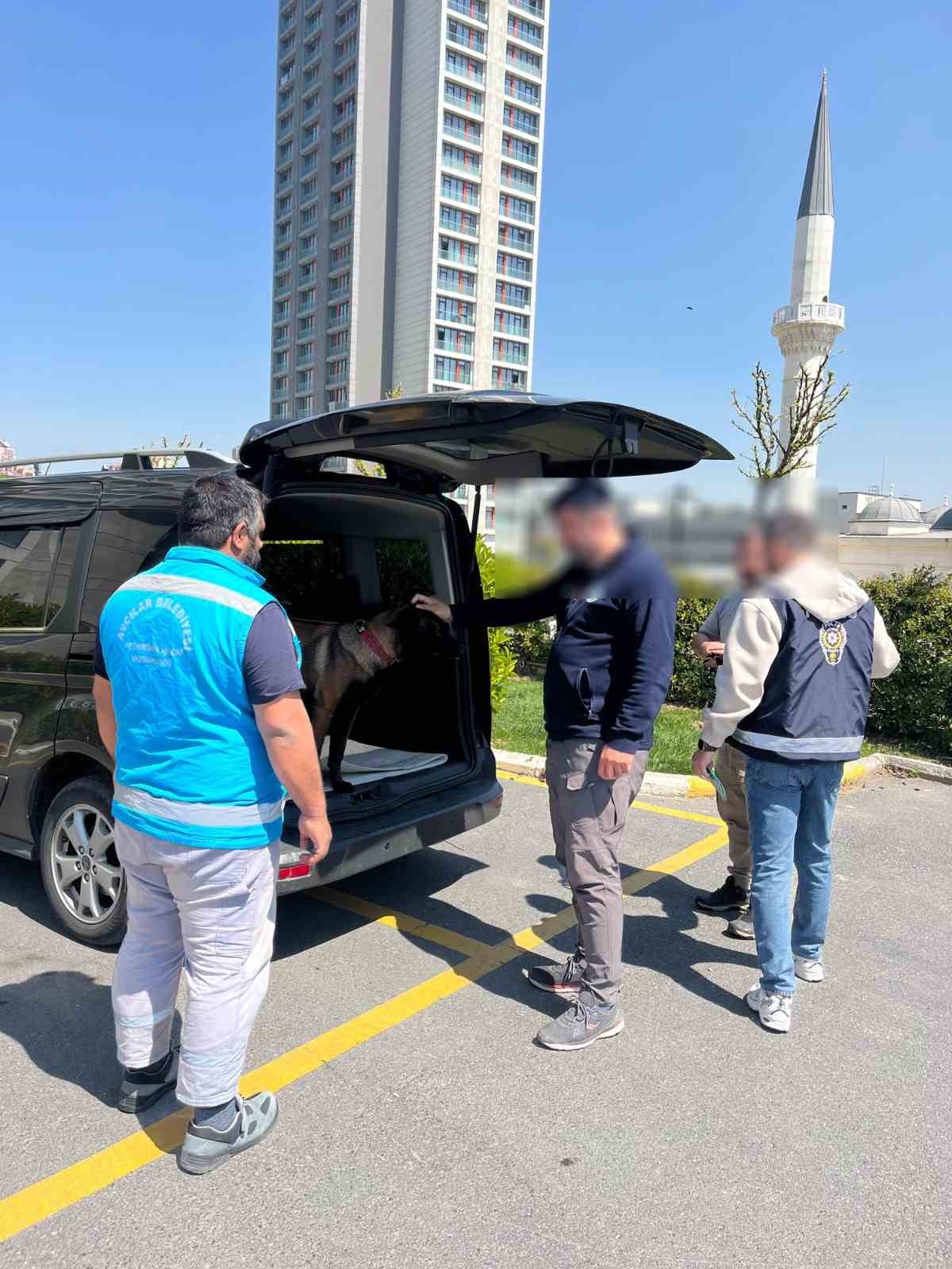 Avcılar’da köpeğe kötü muamelede bulunan şahıs yakalandı
