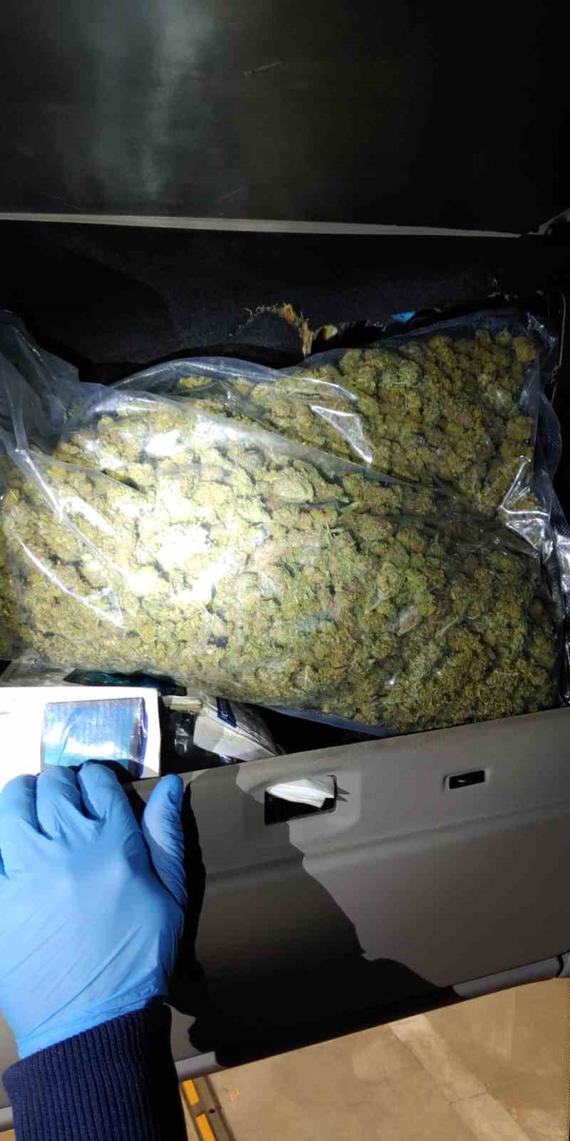 Avokado ve mango arasına gizlenen uyuşturucular yakalandı
