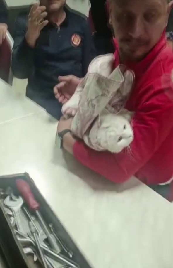 Ayağı lavabo giderine sıkışan kediyi itfaiye kurtardı
